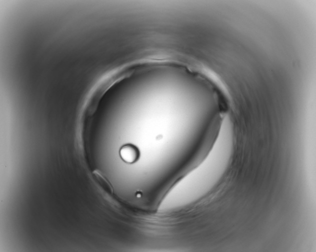 X0000096691464200802121222