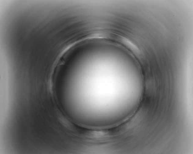 X0000096691465200802121222