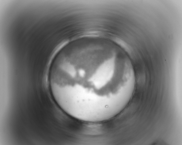 X0000096691466200802121222