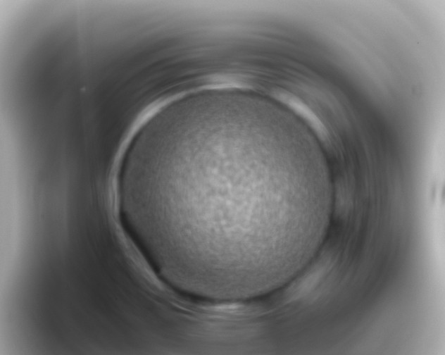 X0000096691467200802121222