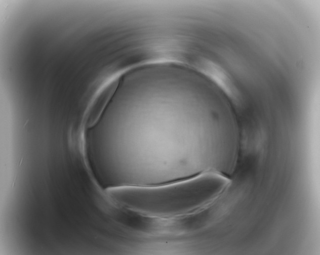 X0000096691468200802121222