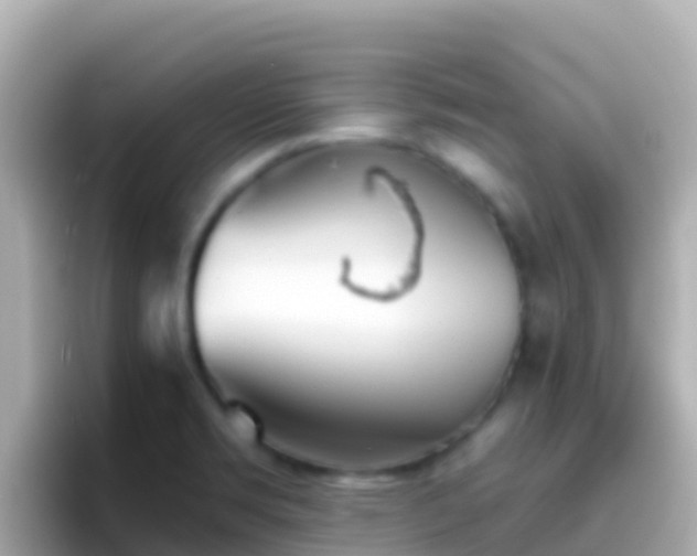 X0000096691469200802121222