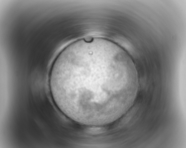 X0000096691470200802121222