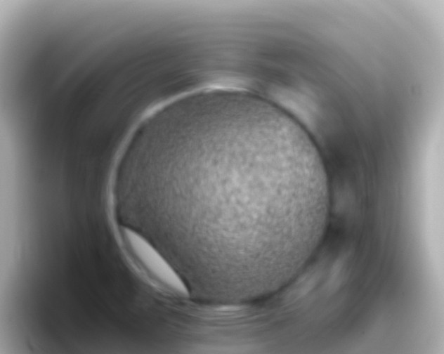 X0000096691471200802121222