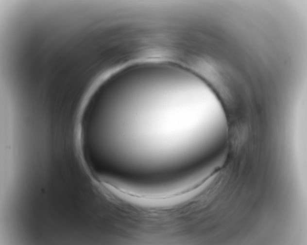 X0000096691472200802121222