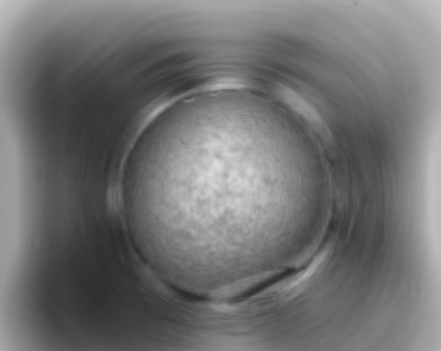 X0000096691473200802121222