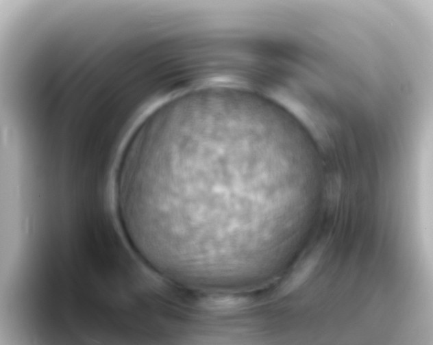 X0000096691474200802121222