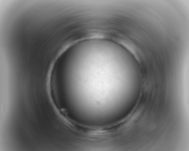 X0000096691475200802121222