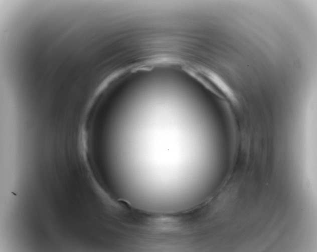 X0000096691476200802121222