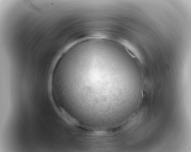 X0000096691477200802121222