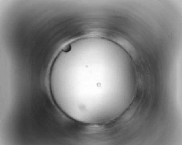 X0000096691478200802121222