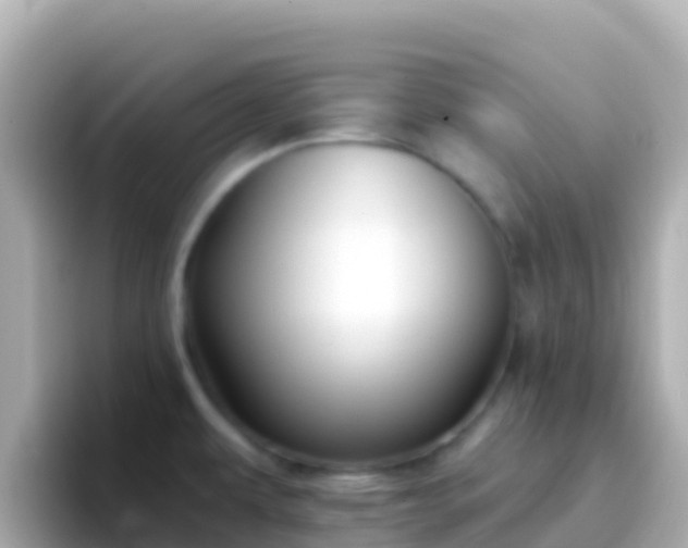 X0000096691479200802121222