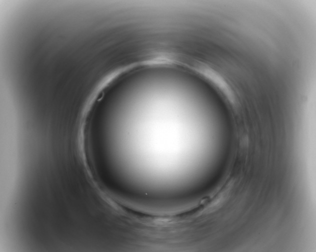 X0000096691480200802121222