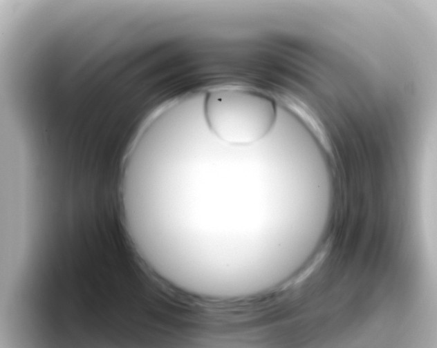 X0000096691481200802121222