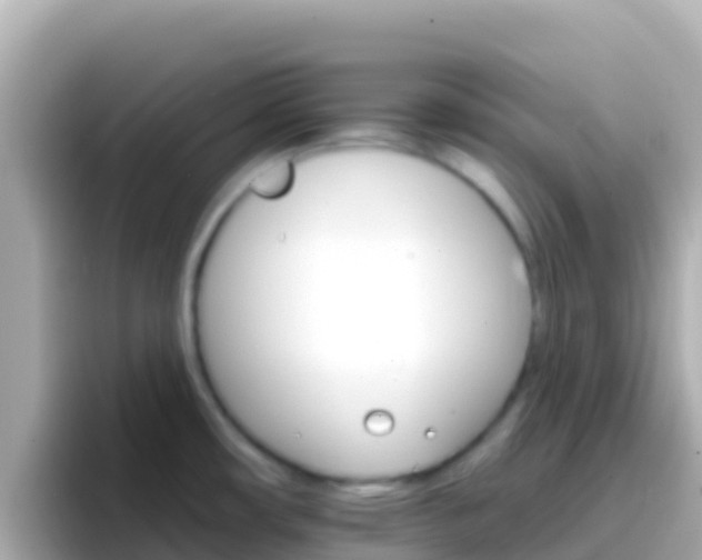 X0000096691482200802121222