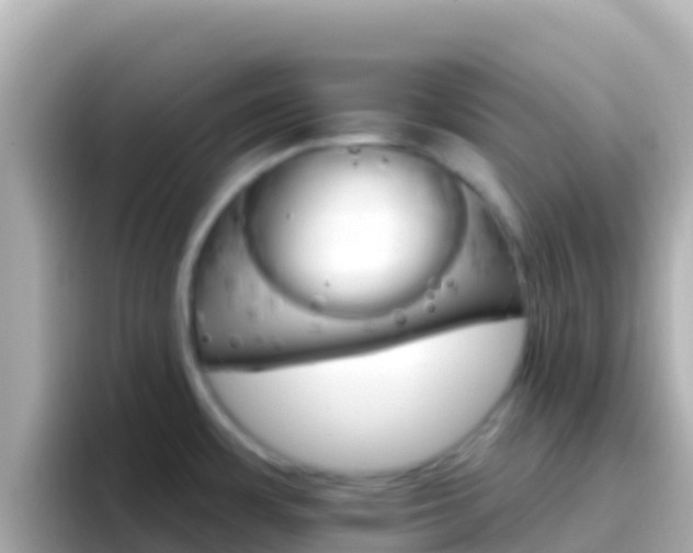 X0000096691483200802121222