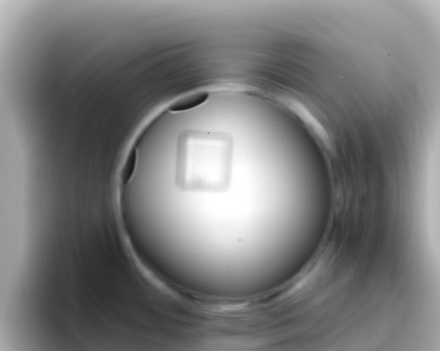 X0000096691484200802121222