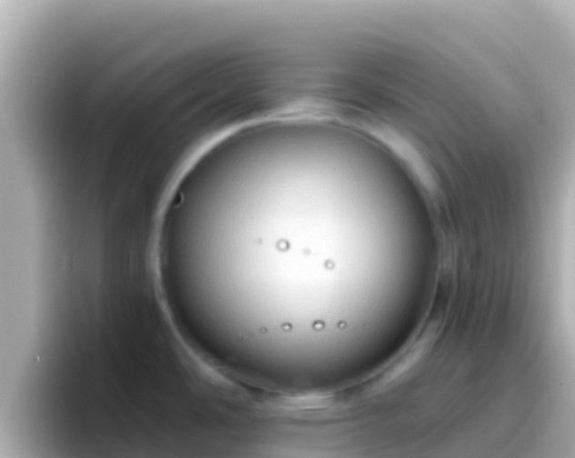 X0000096691486200802121222