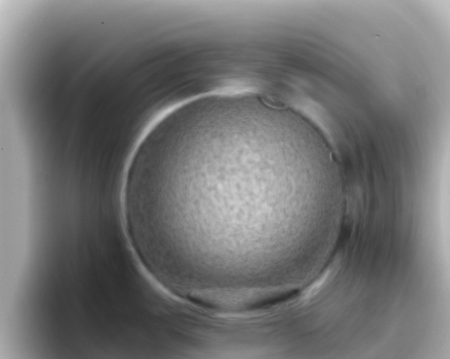 X0000096691487200802121222