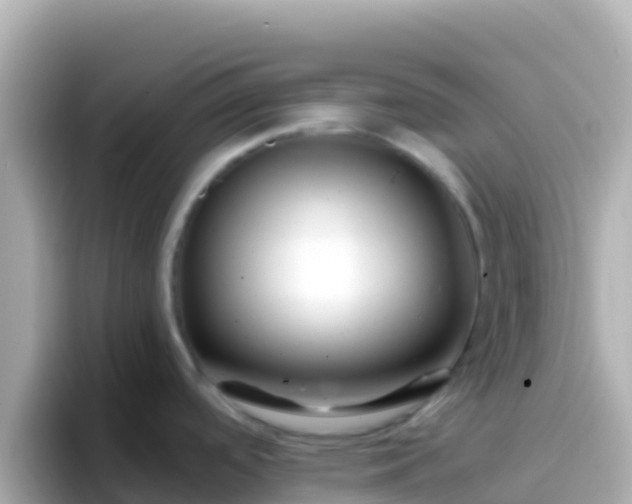 X0000096691488200802121222