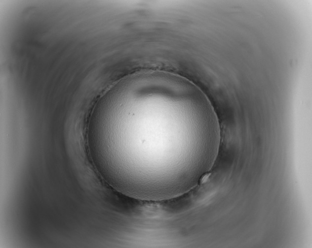 X0000096691489200802121221