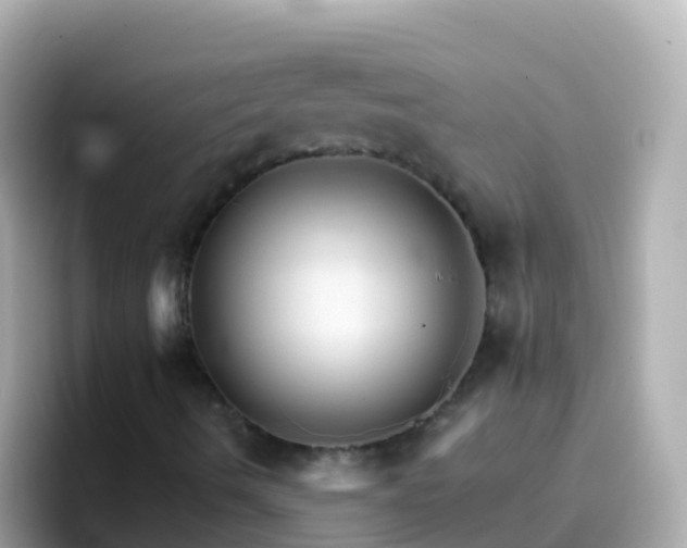 X0000096691490200802121221