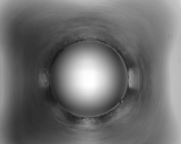 X0000096691491200802121221