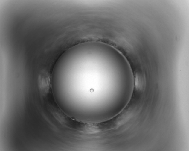 X0000096691492200802121221