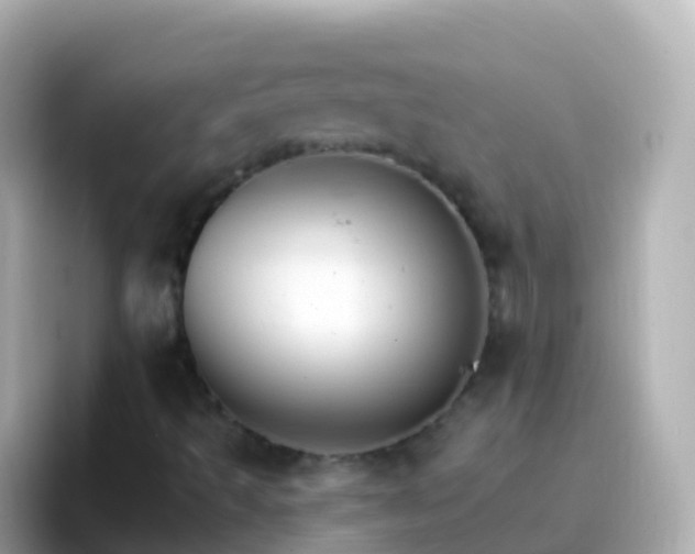 X0000096691493200802121221