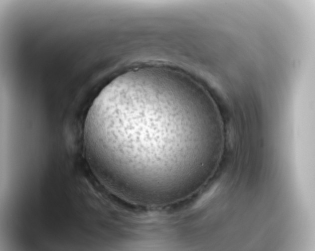 X0000096691494200802121221