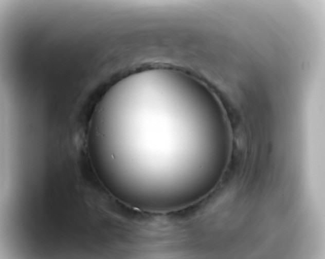 X0000096691495200802121221