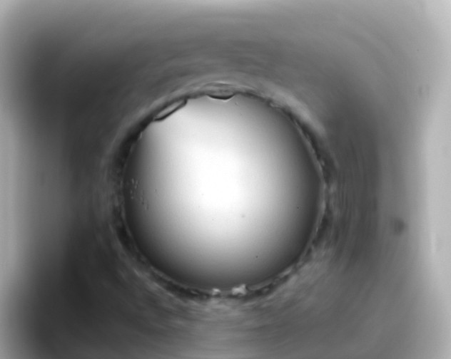 X0000096691496200802121221