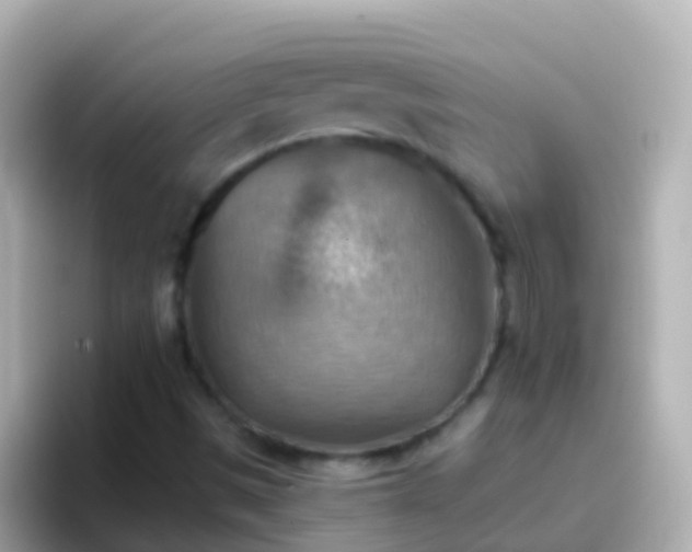 X0000096691497200802121221