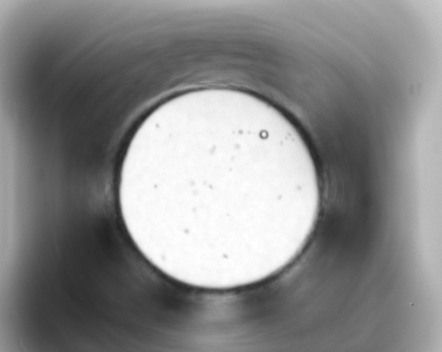 X0000096691498200802121221