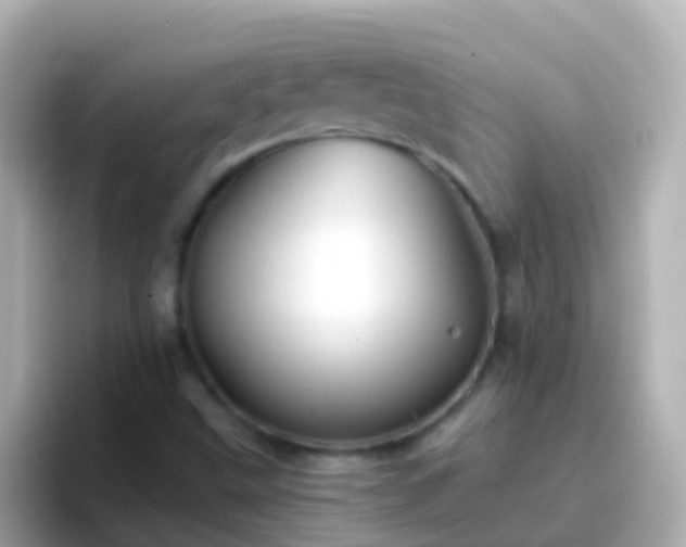 X0000096691499200802121221