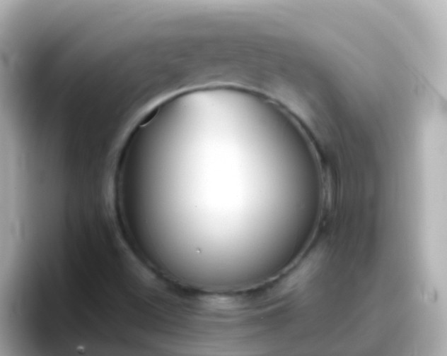 X0000096691500200802121221