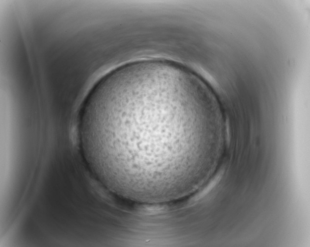 X0000096691501200802121221