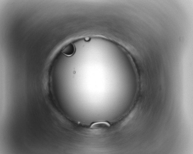 X0000096691502200802121221