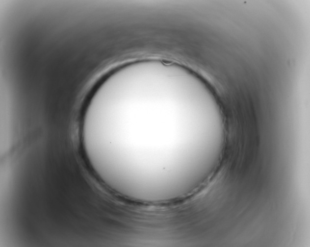 X0000096691503200802121221