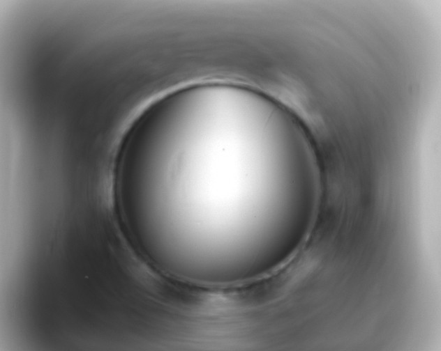 X0000096691504200802121221