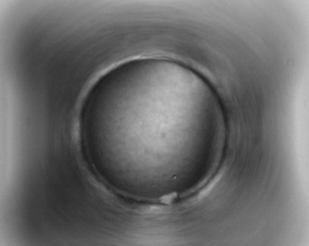 X0000096691506200802121221