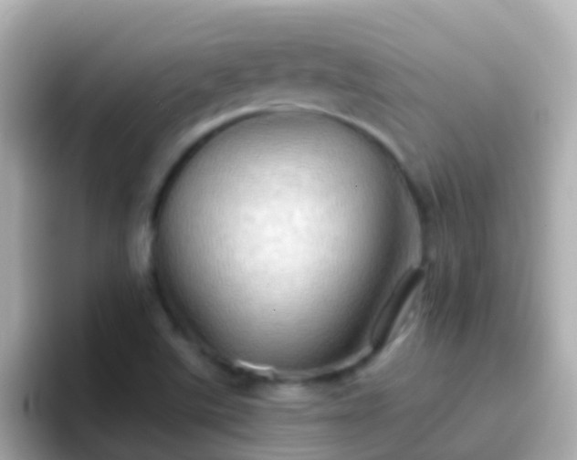 X0000096691507200802121221