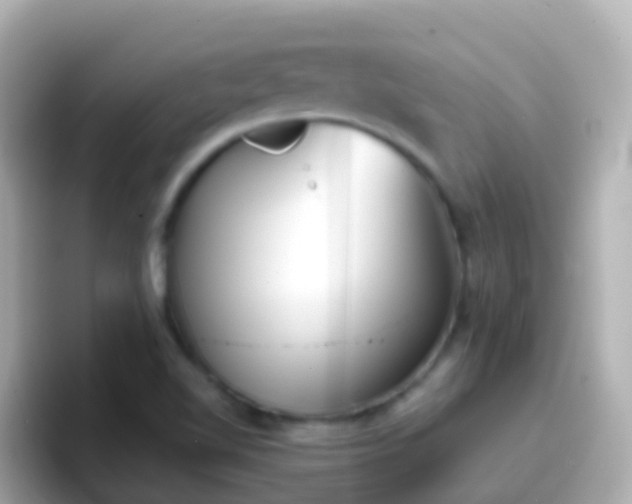 X0000096691510200802121221