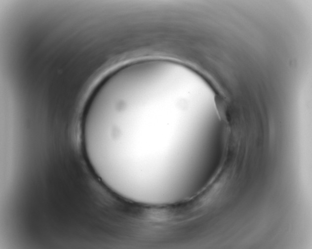 X0000096691511200802121221