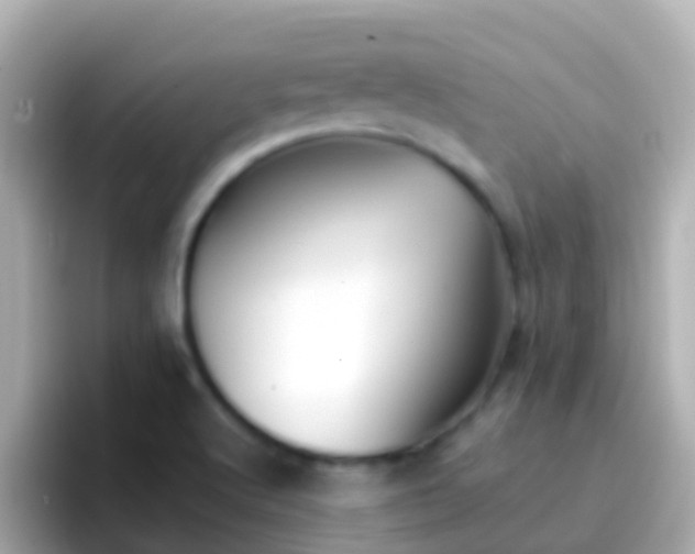 X0000096691512200802121221