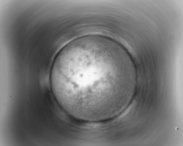 X0000096691513200802121221