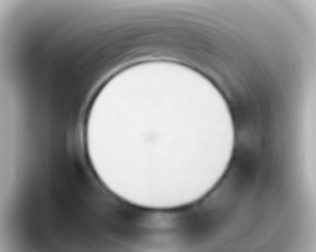 X0000096691514200802121221