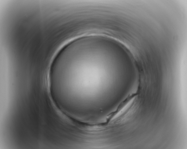 X0000096691515200802121221