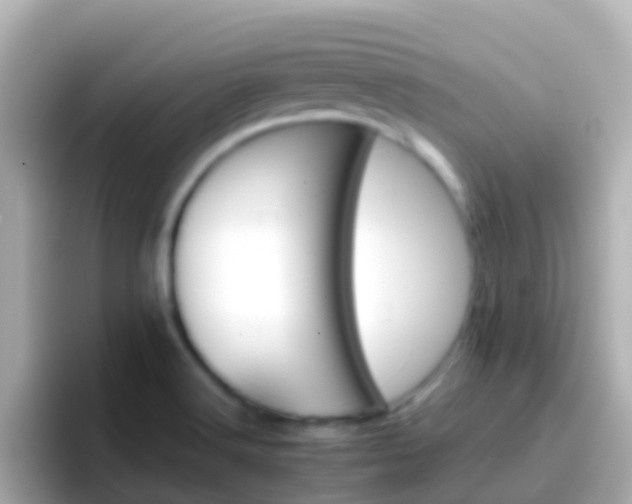 X0000096691516200802121221