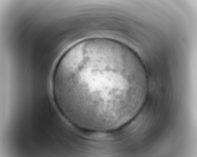 X0000096691517200802121221